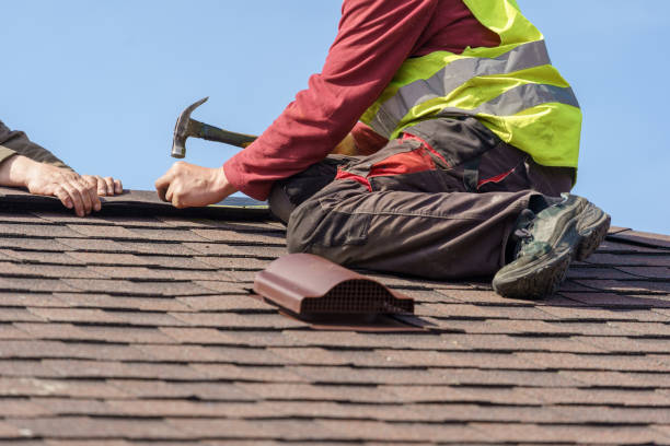 Best Best Roofing Contractors  in Cedar Springs, MI