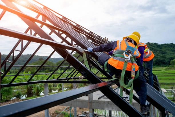 Best Roof Gutter Cleaning  in Cedar Springs, MI
