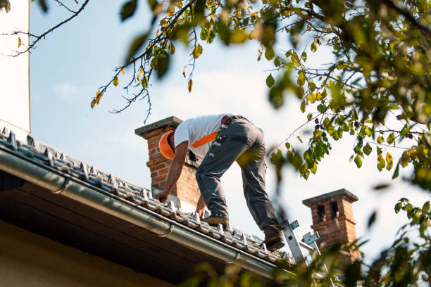 Best Residential Roofing Contractor  in Cedar Springs, MI