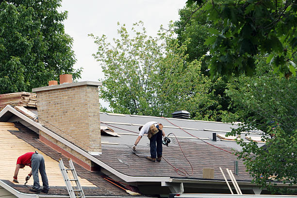 Best Metal Roofing Contractor  in Cedar Springs, MI