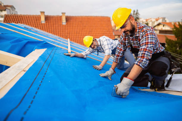 Best New Roof Installation  in Cedar Springs, MI