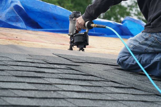 Best Metal Roofing Contractor  in Cedar Springs, MI