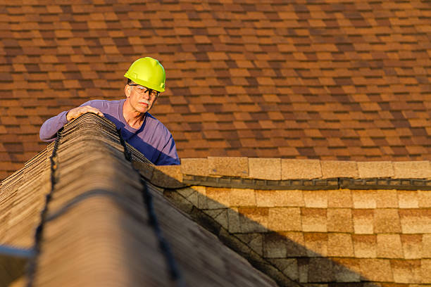 Best Storm Damage Roof Repair  in Cedar Springs, MI