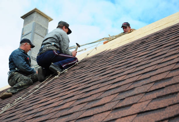 Roof Repair Estimates in Cedar Springs, MI