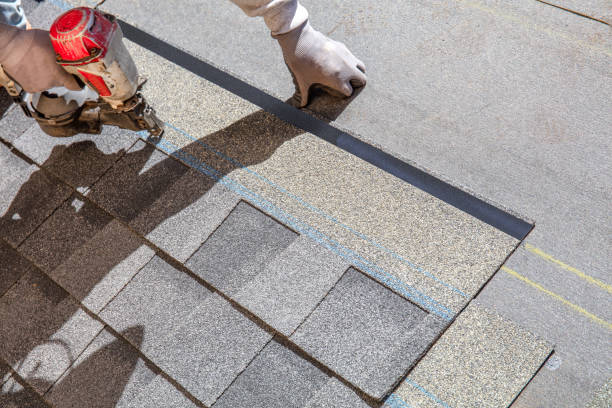 Best Roof Leak Repair  in Cedar Springs, MI